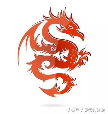 属羊和属龙的合不合