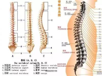 腰间狭窄是怎么回事