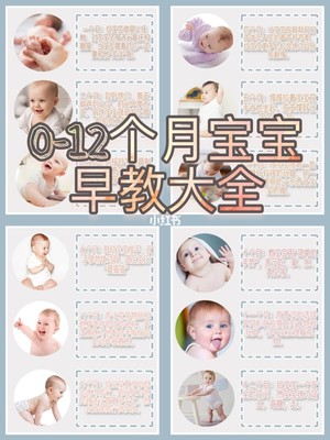 十二个月宝宝