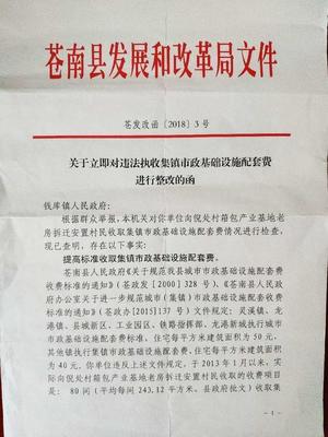 整改函怎么写