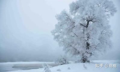 怎么样形容鹅毛大雪