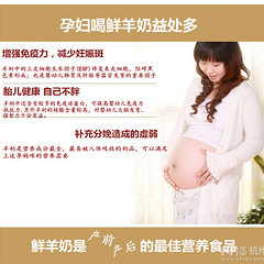 孕妇能喝羊奶吗