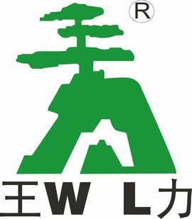 中国王力集团