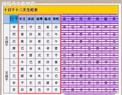 八字旺是什么意思