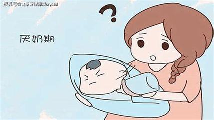 宝宝适合什么时候断奶