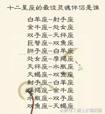最矫情的星座