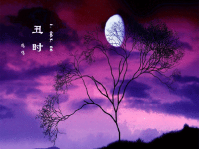 丑时出生的人命运