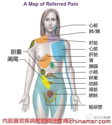 左边肾部位疼痛是怎么回事