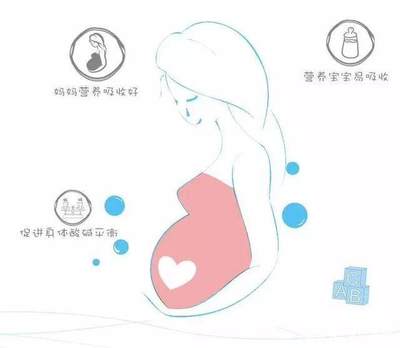 胎儿吸收营养过程图