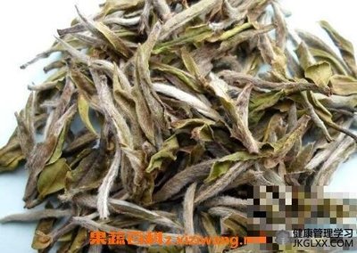 怀孕能喝白茶吗