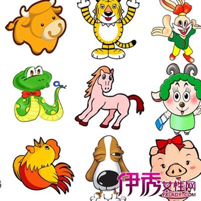 阴肖有哪些生肖