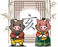 女属猪婚配