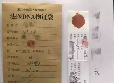 亲子鉴定结果样本
