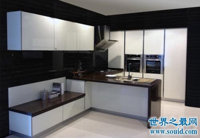 2014中国橱柜十大排名