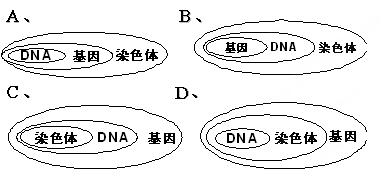 体细胞有多少基因