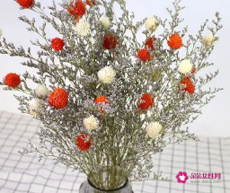 家里适合放干花吗