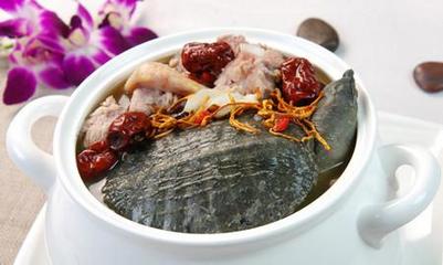 咳嗽可以吃甲鱼吗