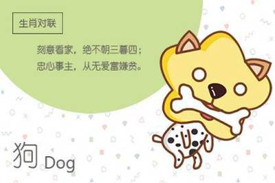 狗和兔相配婚姻如何