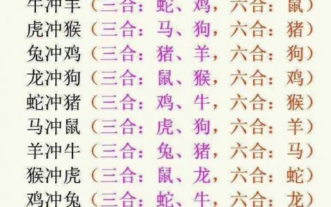兔日冲鸡无什么生肖