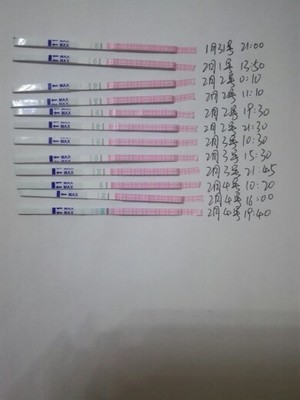 排卵期不是排卵日会怀孕吗