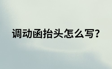 调档函抬头怎么写