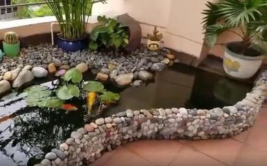 鱼池设计图
