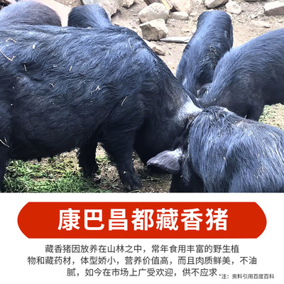 黑猪肉营养价值及功效