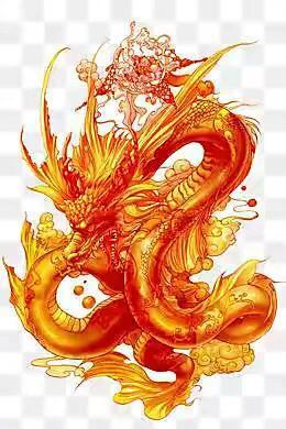 属龙人今年运程
