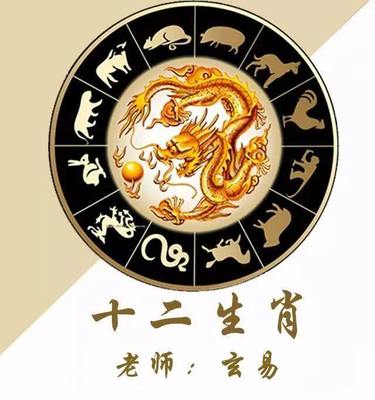 夏是什么生肖