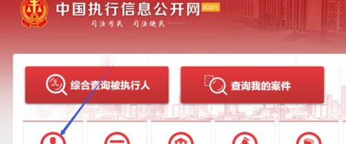 全国执行案件查询