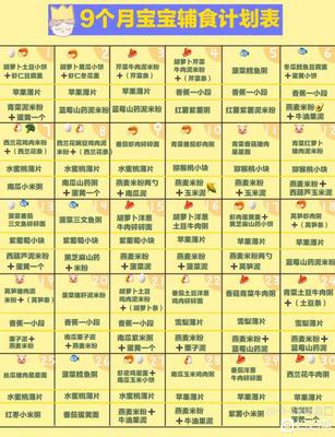 九个月宝宝一天食谱表