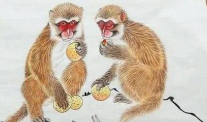缠打一生肖