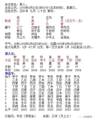 戊午年是什么命