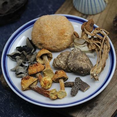牛肚菌孕妇可以吃吗