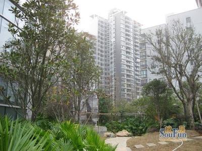 金水湾房价