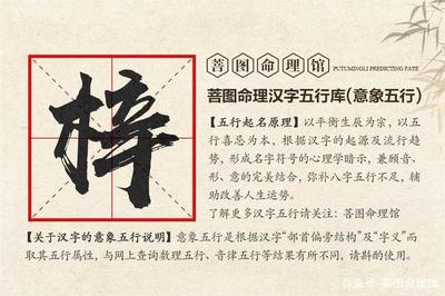 梓字五行属什么的