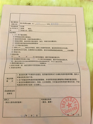 正规亲子鉴定报告单