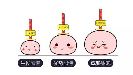 怎么辨别排卵期