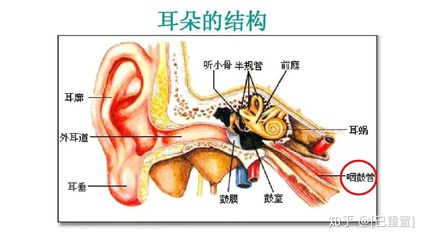 咽鼓管堵塞怎么治疗