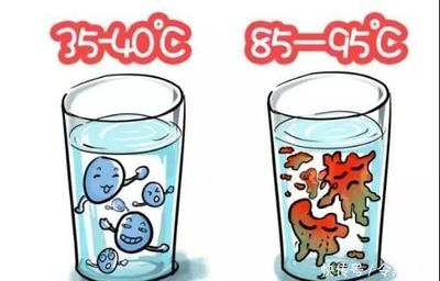 益生菌的正确吃法