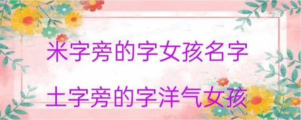 带米字旁的字女孩名字