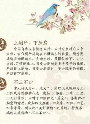 不三不四指什么生肖