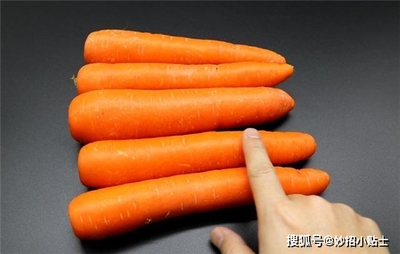 胡萝卜是什么样的