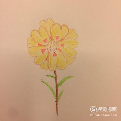 最好看的花怎么画