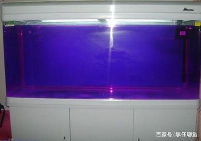 鱼缸用什么玻璃胶