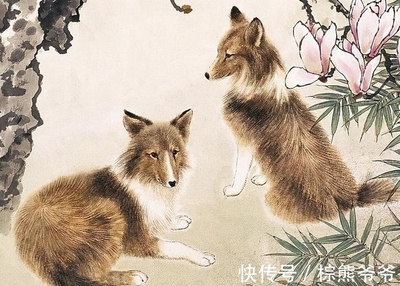 生肖狗属于五行属什么