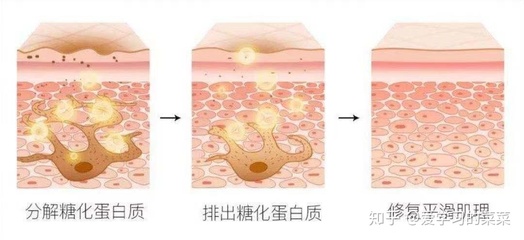 胶原蛋白会长痘痘吗