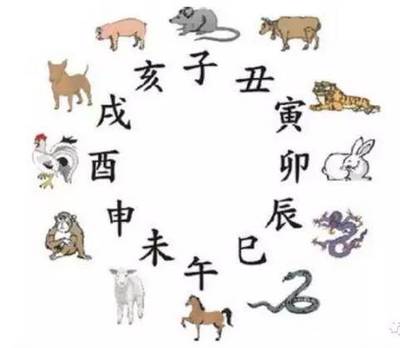 属相狗和鼠合不合