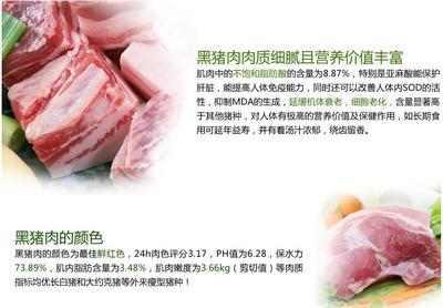 黑猪肉营养价值及功效