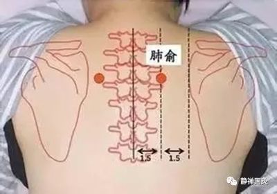 咳嗽艾灸什么穴位